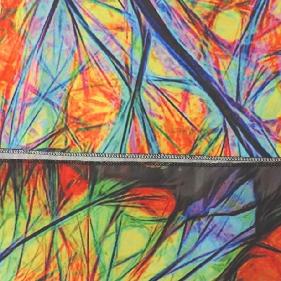 Canopy Fire - Picture 2 of 3